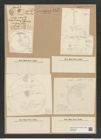 Endictya oceanica Ehr. (de-Toni-Nr.: Genus 196, Species 4805) Zeichnungen Sammlung Grunow Nr. 8472 (NHMW-BOT-W0377925)